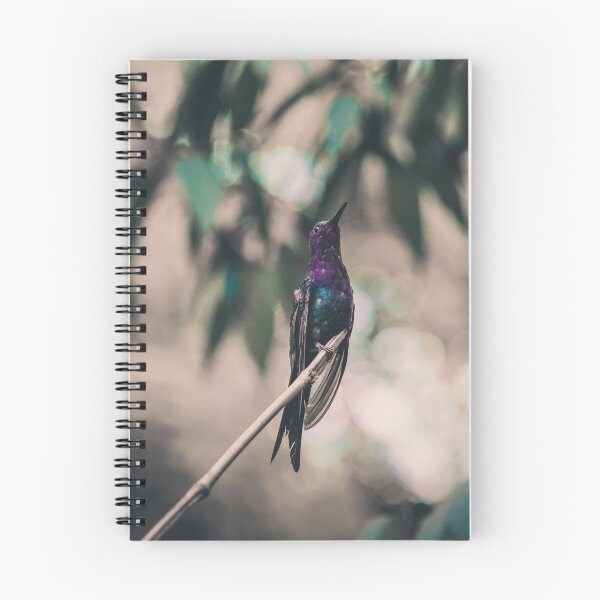 Item preview, Hummingbird designed and sold by anafrancisconi.