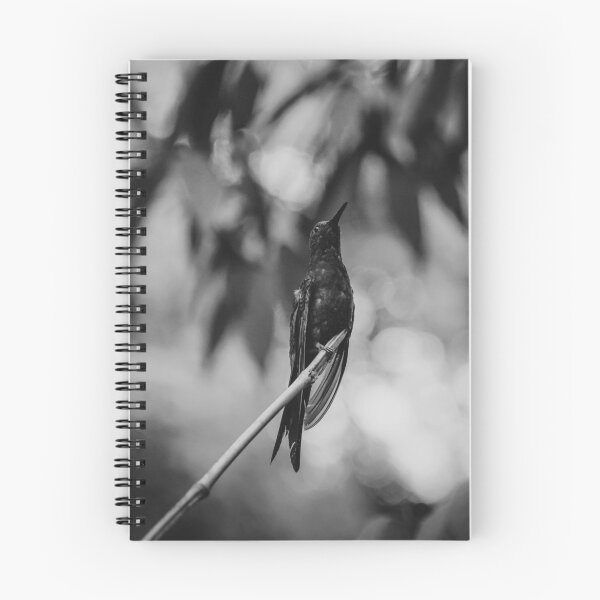 Item preview, Hummingbird designed and sold by anafrancisconi.