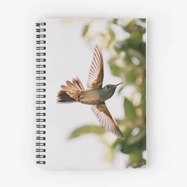 Item preview, Hummingbird designed and sold by anafrancisconi.