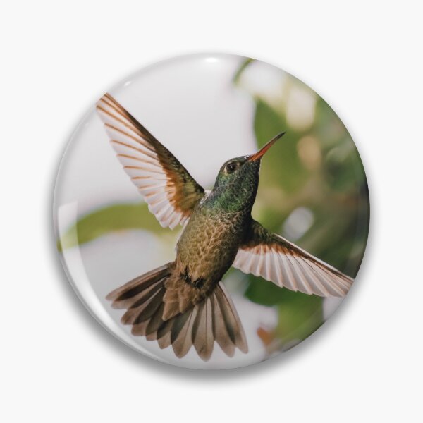 Item preview, Hummingbird designed and sold by anafrancisconi.
