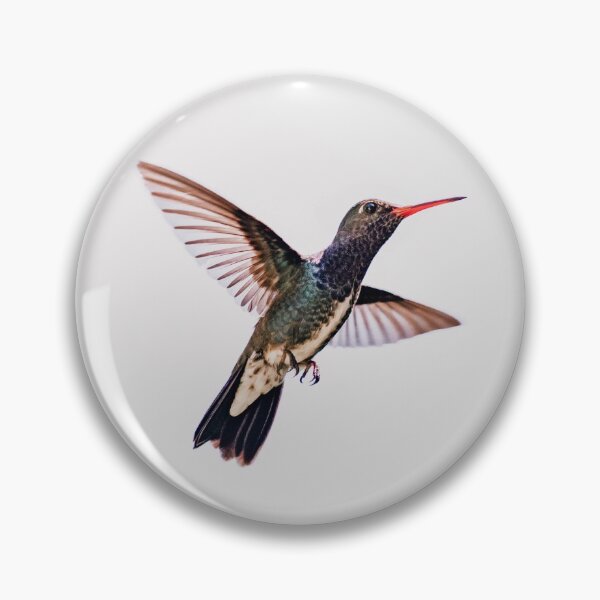 Item preview, Hummingbird designed and sold by anafrancisconi.