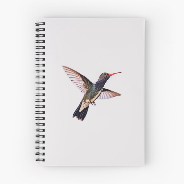 Item preview, Hummingbird designed and sold by anafrancisconi.