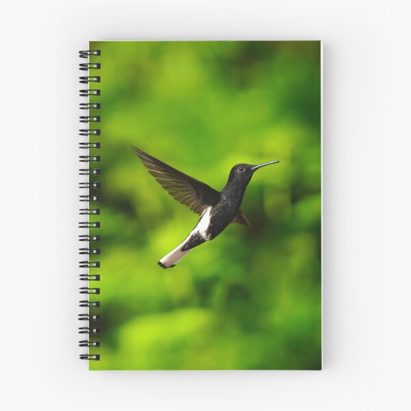 Item preview, Hummingbird designed and sold by anafrancisconi.