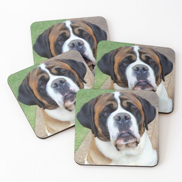 Item preview, Smooth coated St. Bernard designed and sold by stretchtees.