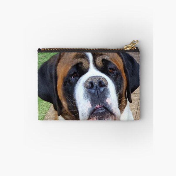 Item preview, Smooth coated St. Bernard designed and sold by stretchtees.