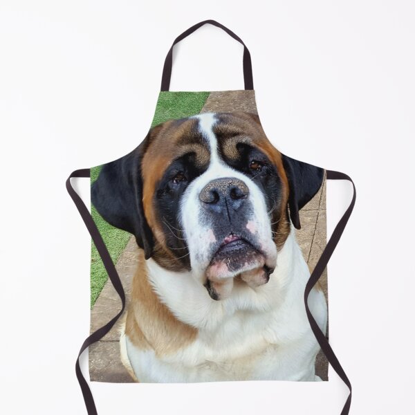 Item preview, Smooth coated St. Bernard designed and sold by stretchtees.