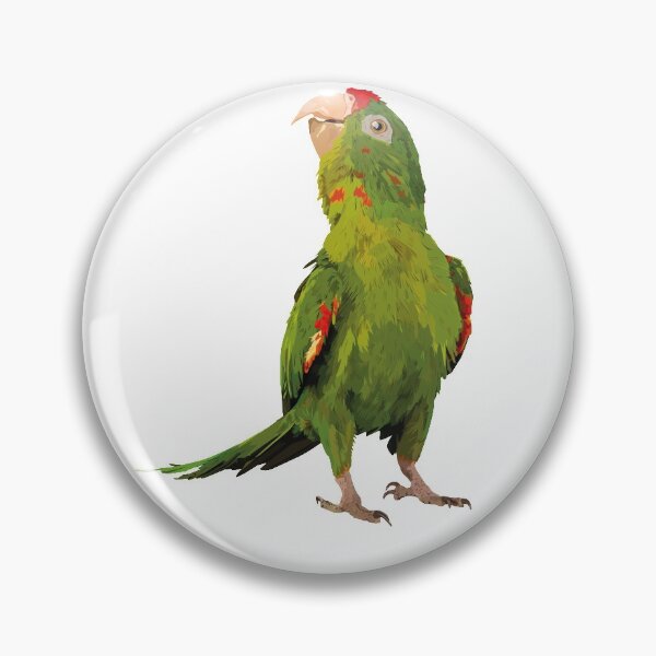 Item preview, red-fronted parakeet designed and sold by obscurite.