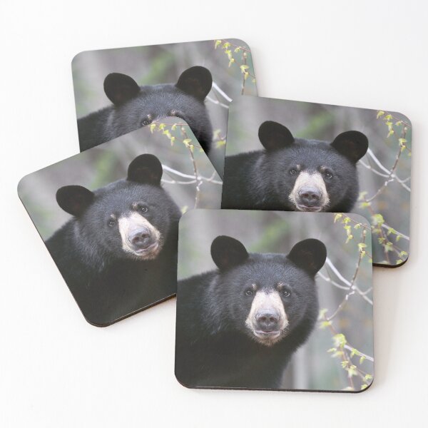 Item preview, Young Black Bear designed and sold by mlorenz.