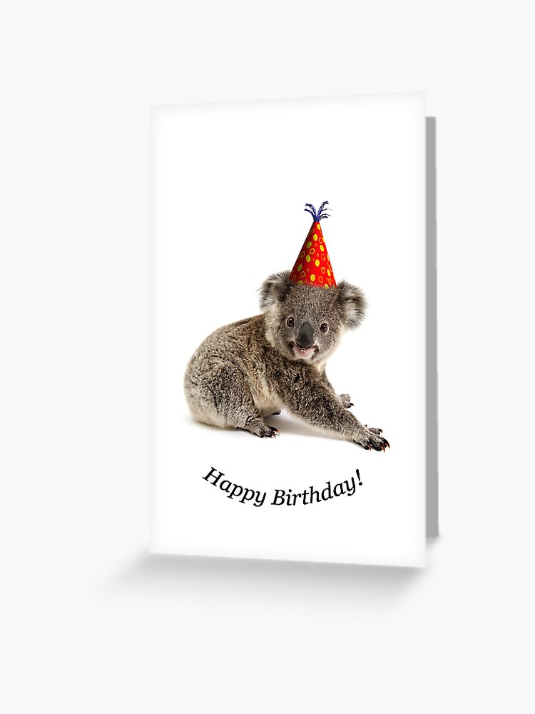 Carte De Vœux Un Joyeux Anniversaire De Koala Joey Par Gerryp1 Redbubble