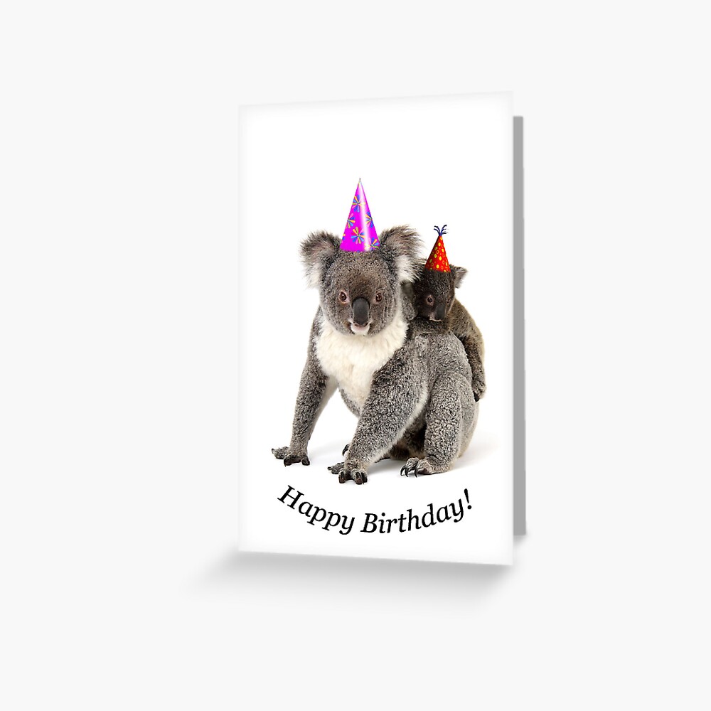 Carte De Vœux Un Koala Joyeux Anniversaire Par Gerryp1 Redbubble