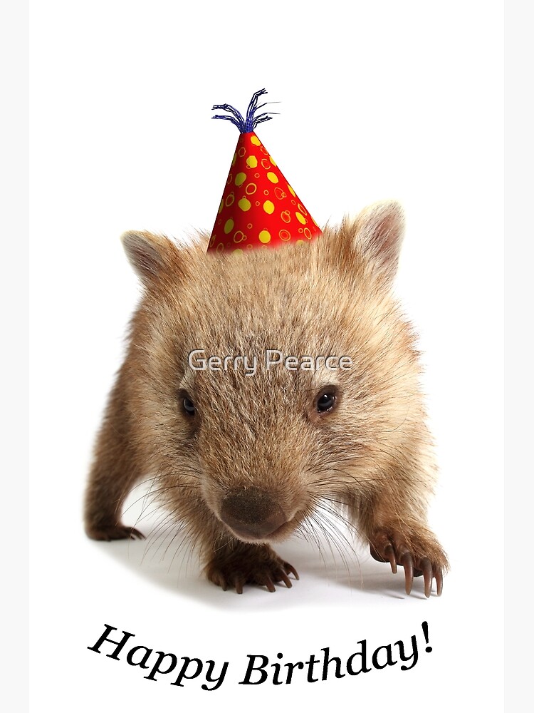 Carte De Vœux Un Wombat Joyeux Anniversaire Par Gerryp1 Redbubble