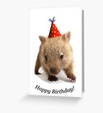 A wombat happy birthday. Greeting Card