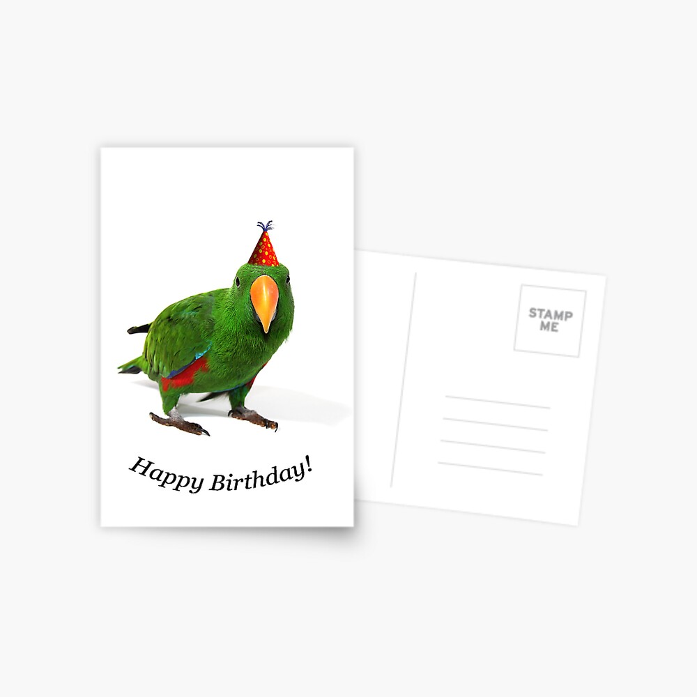 Carte De Vœux Un Perroquet Eclectique Joyeux Anniversaire Par Gerryp1 Redbubble