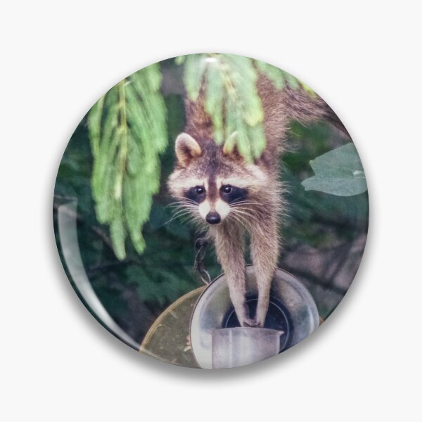 Item preview, Raccoon Raiding the Bird Feeder designed and sold by Frankie Cat Photography.