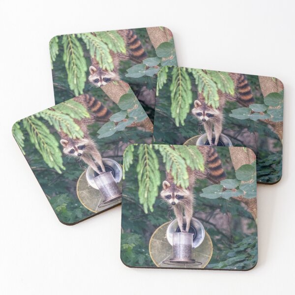 Item preview, Raccoon Raiding the Bird Feeder designed and sold by Frankie Cat Photography.