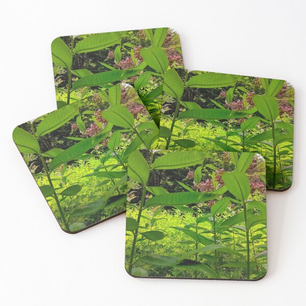 Item preview, Milkweed vol.2 designed and sold by Natalie Stark.