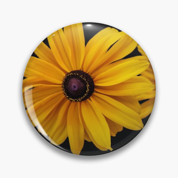 Item preview, Daisy Gloriosa designed and sold by heatherfriedman.
