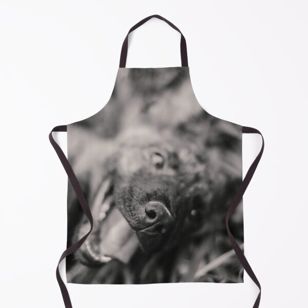 Item preview, Dog designed and sold by anafrancisconi.