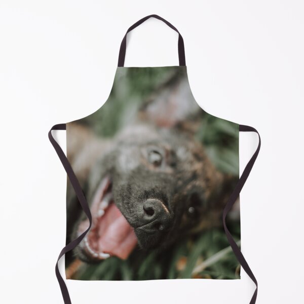 Item preview, Dog designed and sold by anafrancisconi.