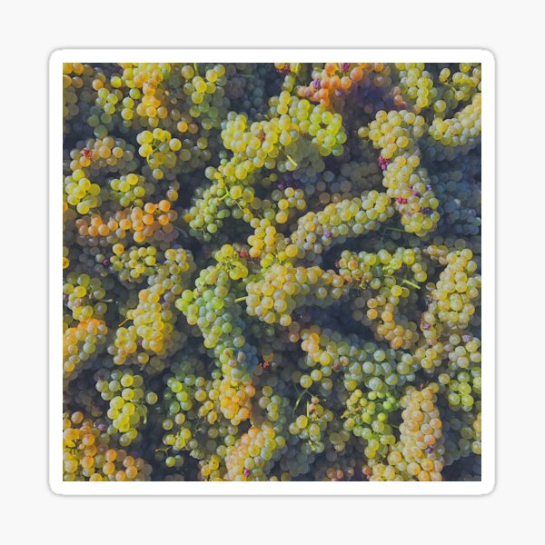 Item preview, California Green Viognier Grapes  designed and sold by ArtbyLeahAlexis.