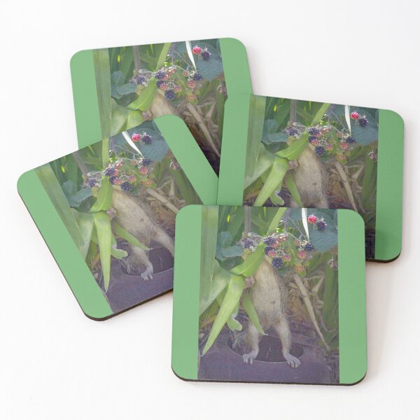 Item preview, The Berry Bandit designed and sold by CarolM.