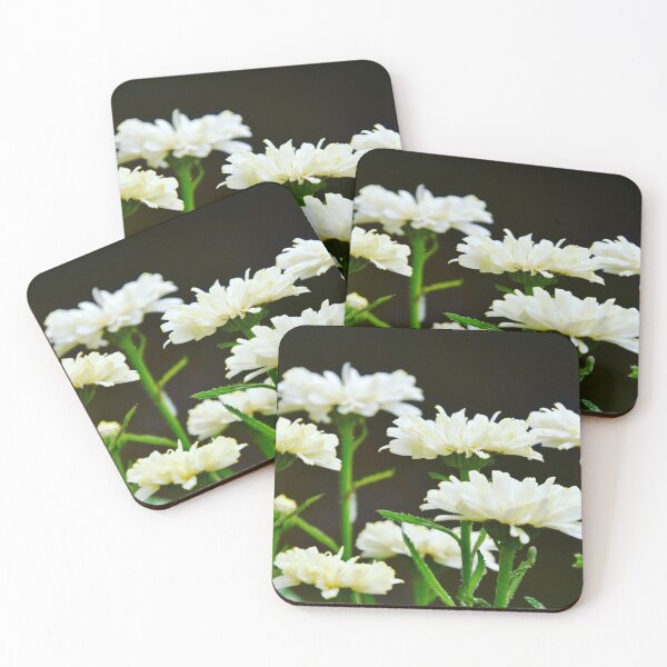 Item preview, Daisies standing tall designed and sold by alteredlifephto.