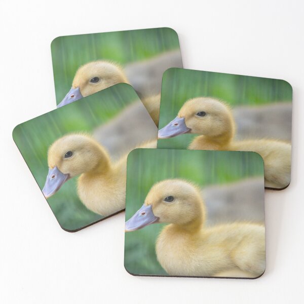 Item preview, Cute Duck designed and sold by BradDennien.
