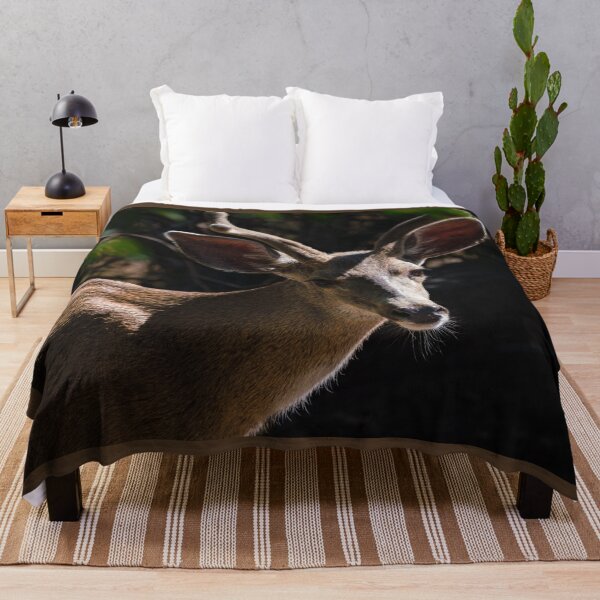 Item preview, A Young Buck in the Morning Sun designed and sold by MomentofPercep.
