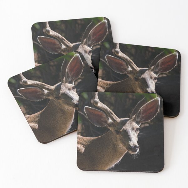 Item preview, A Young Buck in the Morning Sun designed and sold by MomentofPercep.