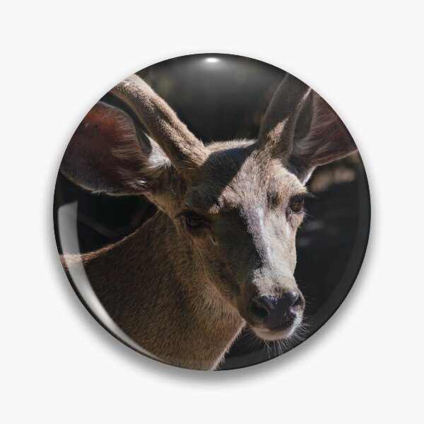 Item preview, A Young Buck in the Morning Sun designed and sold by MomentofPercep.