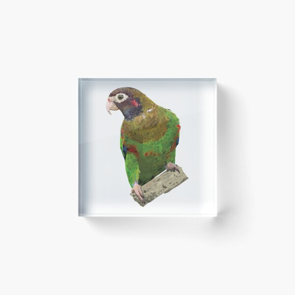Item preview, Lorito Encapuchado designed and sold by obscurite.