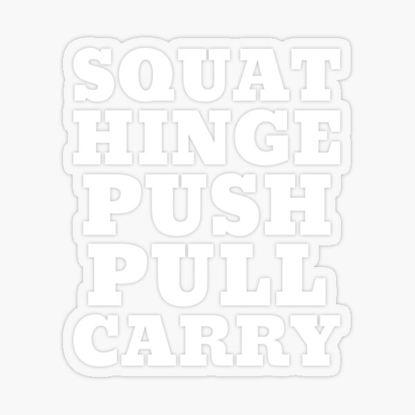 Push pull squat hinge carry online routine