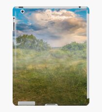 Vinilo o funda para iPad Meadow