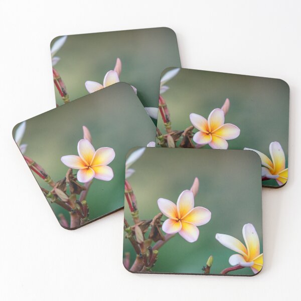 Item preview, Bloom  designed and sold by BradDennien.