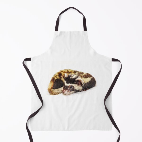 Item preview, Marbled polecat (Vormela peregusna) lie on white. designed and sold by IaroslavB.