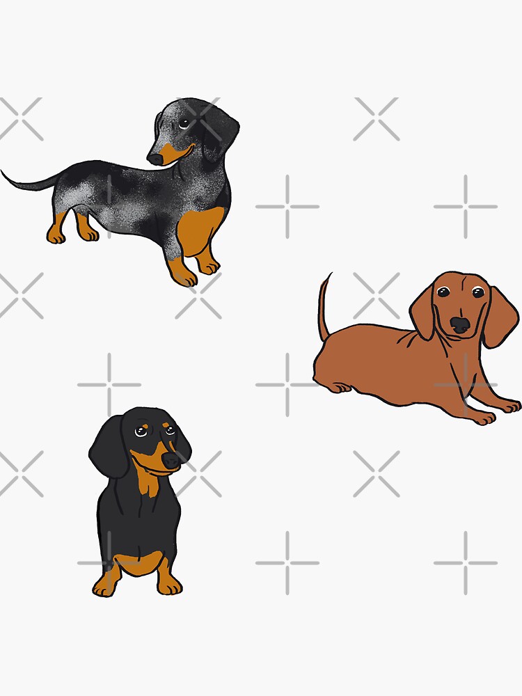 My Lovely Daschund by Reiyankhairina