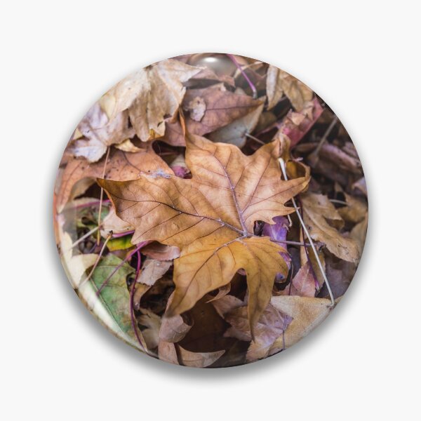 Item preview, Leaves of Autumn  designed and sold by BradDennien.