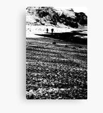 Walkers Canvas Print