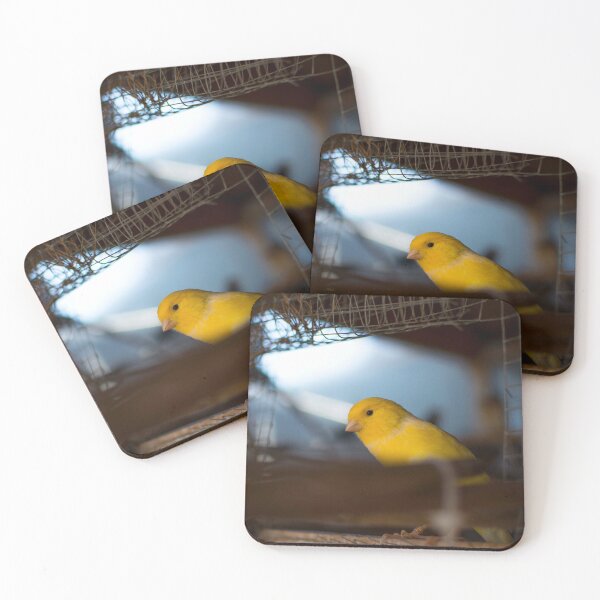 Item preview, Yellow finch  designed and sold by BradDennien.