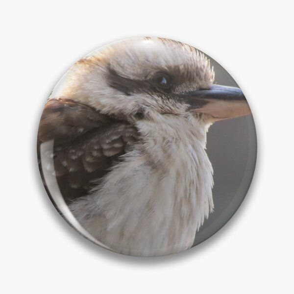 Artikelvorschau, Jacko der Kookaburra entworfen und verkauft von Jacob Peake.