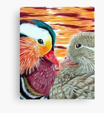 Mandarin Ducks in Love Canvas Print