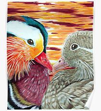 Mandarin Ducks in Love Poster
