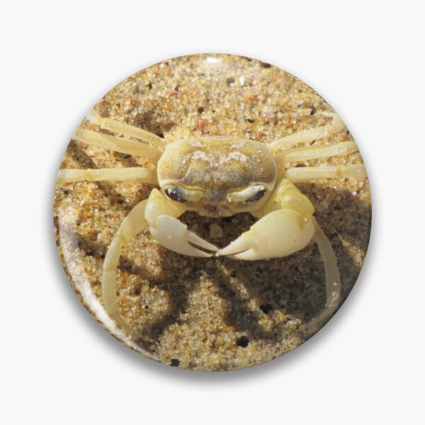 Item preview, Ghost Crab designed and sold by Jacob Peake.