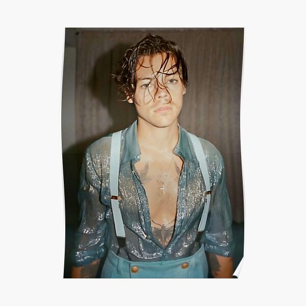 Sexy Harry Poster