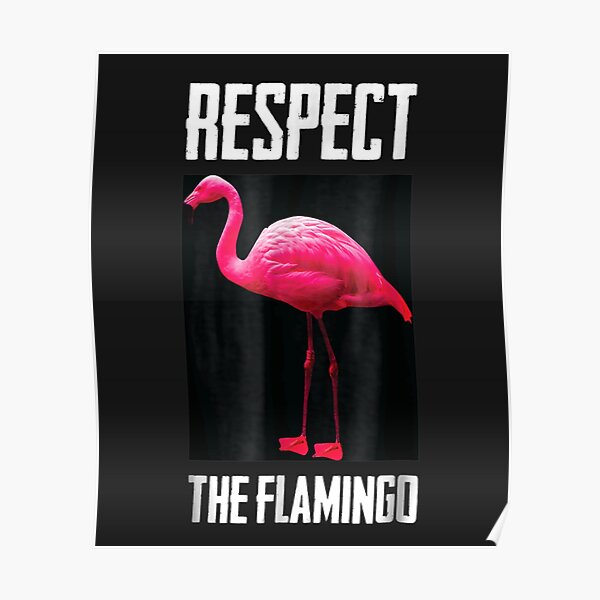 roblox got talent flamingo