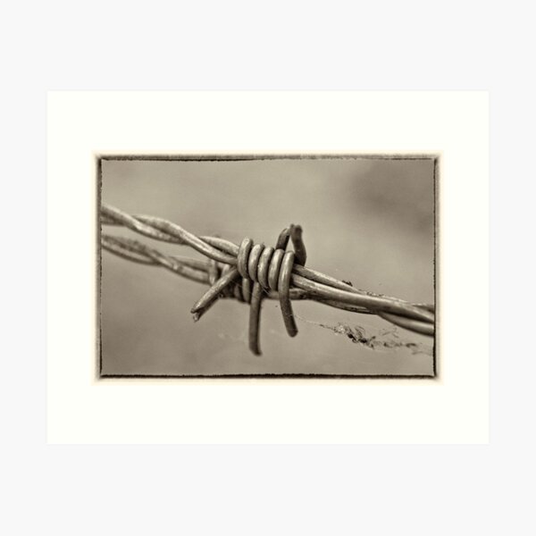 Item preview, Barbed Too designed and sold by Paul Earl.