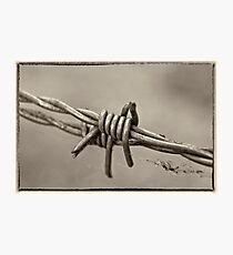 Barbed Too Photographic Print