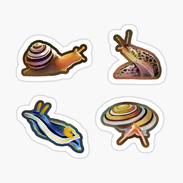 Snails & slugs Sticker