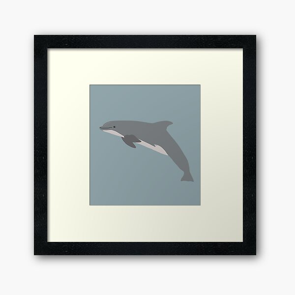 Item preview, Griffith the bottlenose dolphin designed and sold by Animaldesigns24.