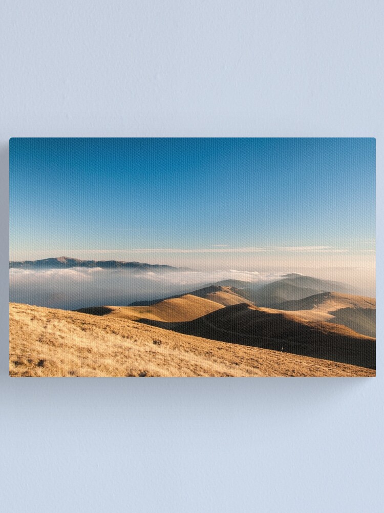 Alternate view of ... Canvas Print